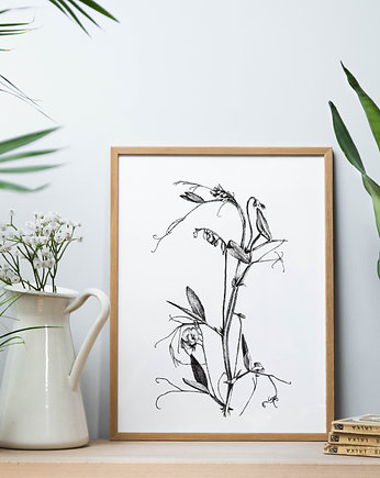 Groszek - grafika, beata sketches
