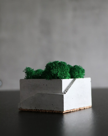 Betoniczka kwadrat schodki z mchem chrobotkiem, Concept Design