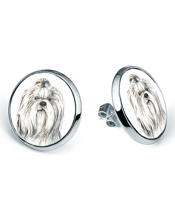 Kolczyki sztyfty SHIH TZU rasowy pies, laluv