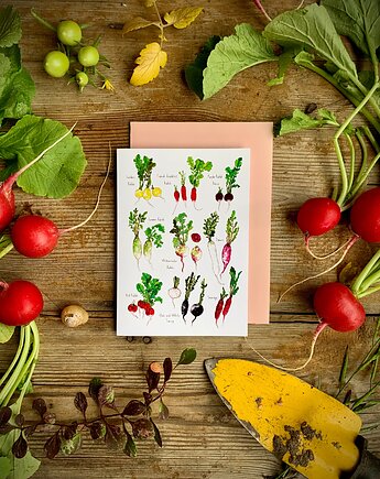 Rzodkiewki- Kartka- Grafika- Ilustracja- Las, BOSKE