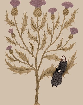 Giant Thistle, Lucernarium