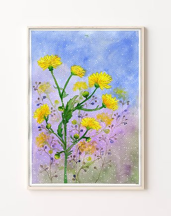 Oryginalna akwarela.  Polny mlecz  A4, Malgorzata Domanska