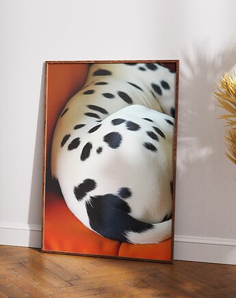 Plakat Dupka Dalmatyńczyk - Minimalistyczny pies, DAPIDOKA