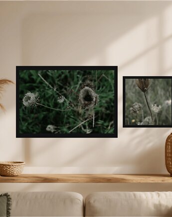 Fotografia autorska z cyklu "Polska łąka", mamam