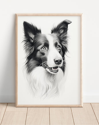 Plakat border collie, Whatever the timezone