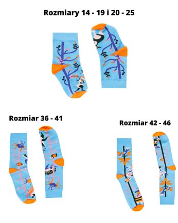 Zestaw 3 par skarpetek dla Rodziców i Niemowlaka, FAVES. Socks&Friends