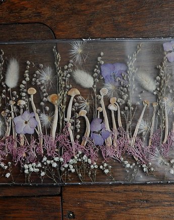 Mycelium Dreams, MARIAELA