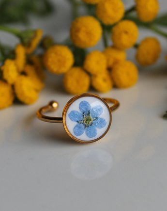 Złoty pierścionek niezapominajki niezapominajkami kwiaty niezapominajka, zkwiatem