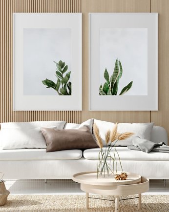 DWA PLAKATY galeria botaniczne rośliny, black dot studio