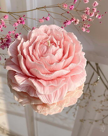 Świeca sojowa ekologiczna dekoracyjna piwonia "Peony Queen" 80x35mm, Coccola JEWELLERY
