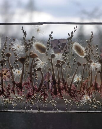 Obraz na prezent. Grzybki, MARIAELA