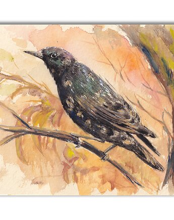 Szpak. Akwarela ręcznie malowana, Galeria Alma