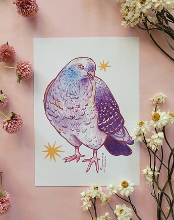 Gołąb pocztówka/miniprint A6, zazula