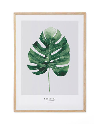 Plakat - Monstera 2, lemonducky