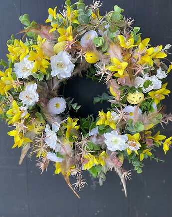 Wianek forsycja, EsyFloresy