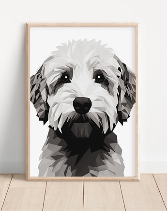 Plakat lagotto romagnolo, Whatever the timezone