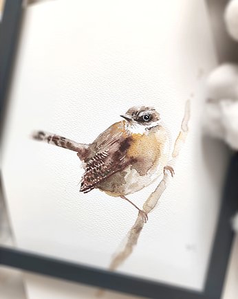 Akwarela Strzyżyk, Wiktoria Borys Art