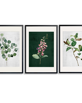 PLAKATY (postery) AKWARELOWE ROŚLINKI 3 częsci, LUdesign gallery