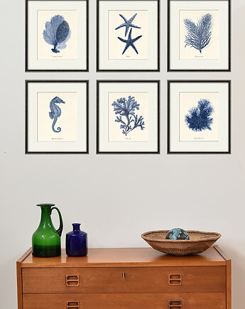 Zestaw 6 grafik  koralowiec reprodukcja morskie, Victorian wall art