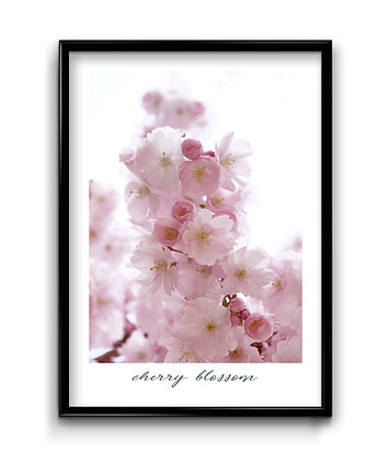 Plakat Cherry Blossom , Bury Lis