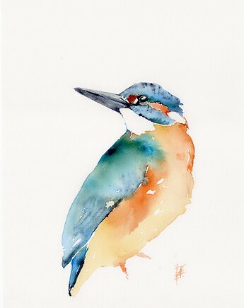 Oryginalna akwarela. Zimorodek, alquadro