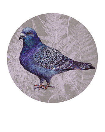 Gołąbek- ilustracja- grafika- ptaki, BOSKE