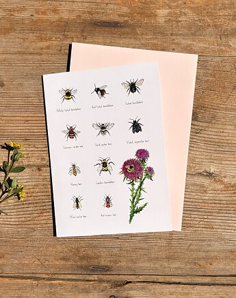 Pszczoły i trzmiele - Kartka- Grafika- Ilustracja- Natura, BOSKE