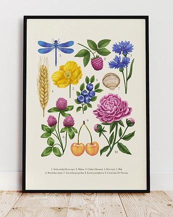 Plakat  "Lato" 30x40cm, Studio Stonka