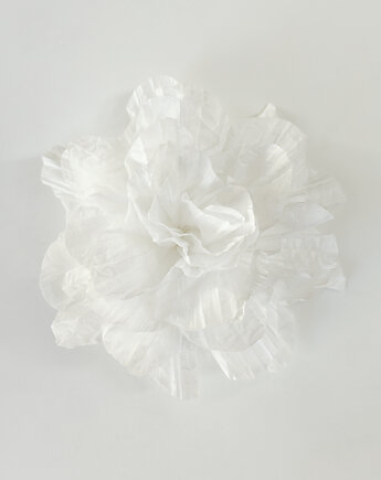 Kwiat white, COCOON