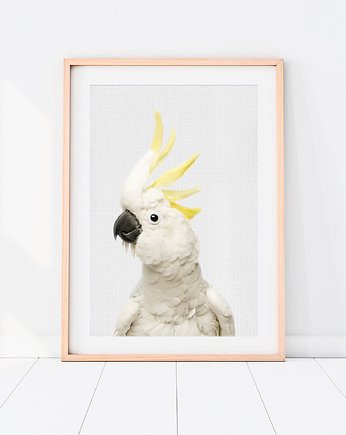 Plakat Kakadu - Plakat do pokoju dziecka, LOVINA PRINTS