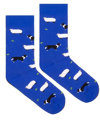 Skarpetki niebieskie owce z border coli kolorowe skarpetki we wzory Kabak, KABAK
