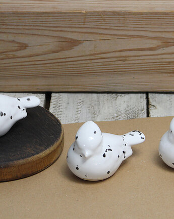 3 ptaszki Dalmatyńczyki - zestaw, Studio Mini Forma