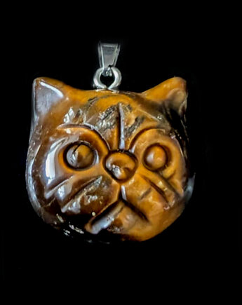 Kociątko tygrysiątko, Pracownia Neores