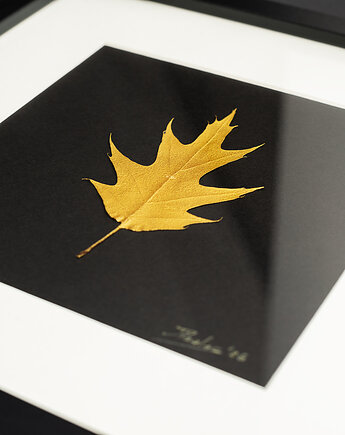 Autorski Obraz Botaniczny. Złoty Liść Dębu. Czarna Ramka 25x25cm, Kuźnia Obrazów