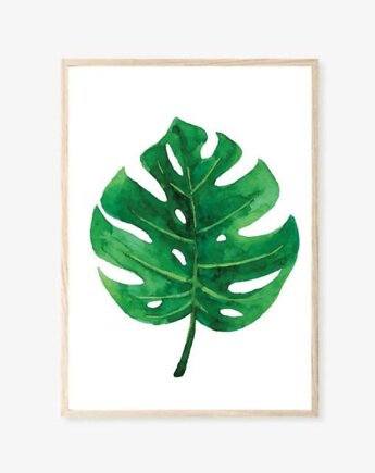 PLAKAT MONSTERA LIŚCIE BOTANICZNY z monsterą, black dot studio