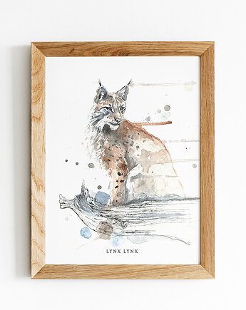 Ryś 30x40 cm, JUST ILUST Justyna Małczak