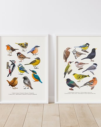 Plakat Zestaw "Ptaki" I i II 50x70 cm, Studio Stonka