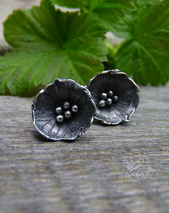 Poppy, Radecka art