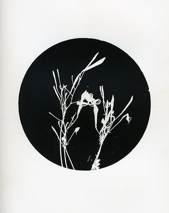Abstrakkt_0, PAPER AND LIGHT