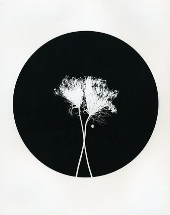 Ziele_0_, PAPER AND LIGHT