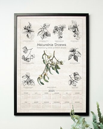 Botaniczny kalendarz wiszący. Naturalnie DRZEWA., beata sketches