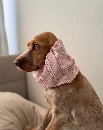 Snood dla psa ochraniacz na uszy, SZYSZKA sztrykuje