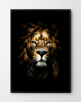 Plakat Lew, HOG STUDIO
