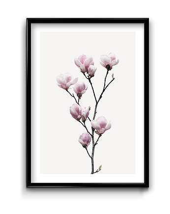 Plakat Gałązka Magnolii , Bury Lis