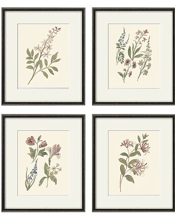 Zestaw Grafik Botanicznych Vintage, Victorian wall art