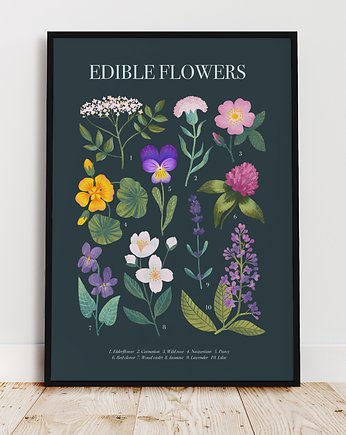 Plakat botaniczny "Edible flowers" 40x50cm, Studio Stonka