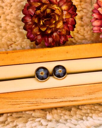 Kolczyki wkrętki z niezapominajkami, Blask Natury