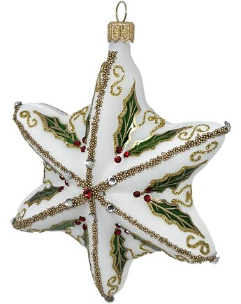 STARGLASS projektant