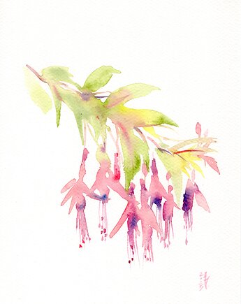 Oryginalna akwarela. Fuksja, alquadro