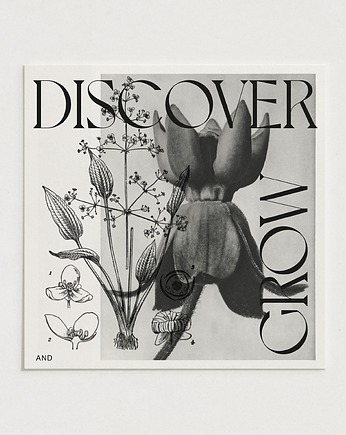 Discover&grow / Oryginalna grafika / poster print / Gicl, Alina Rybacka